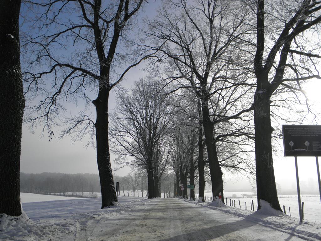 1miejsce karolina weraksa1024