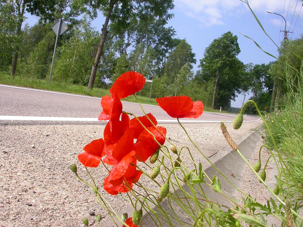 3miejsce krzysztof szymolon1024