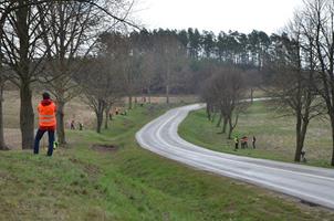 zielona droga kwiecien 2015 sadzenie302